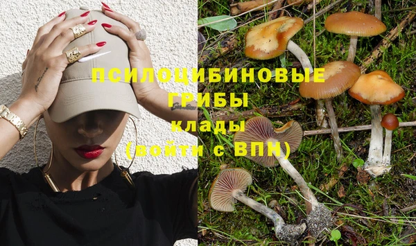 дживик Балахна